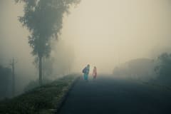 Weather Update : उत्तर भारतात थंडीची लाट कायम असून धुक्याबाबत अलर्ट जारी; तुमच्या शहरातील हवामान कसे असेल?