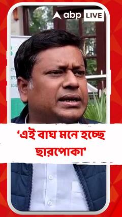 'বাঘ তো পালায় না, সামনে থেকে লড়াই করে, এই বাঘ মনে হচ্ছে ছারপোকা', আক্রমণ সুকান্তর