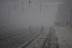 कब होती है कोल्ड वेब, क्या इसकी चपेट में आने से हो सकती है मौत?