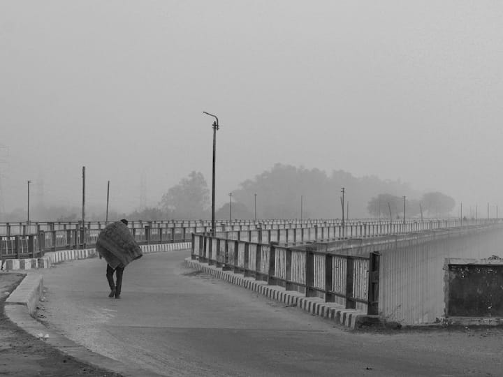 Weather Update : उत्तर भारतात थंडीची लाट कायम असून धुक्याबाबत अलर्ट जारी; तुमच्या शहरातील हवामान कसे असेल?