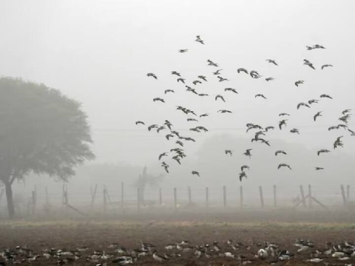 11 साल बाद बीते 4 जनवरी का दिन दिल्ली के लिए सबसे ठंडा दिन था. बता दें कि दिल्ली का अधिकतम तापमान सामान्य से सात डिग्री कम 12.5 डिग्री सेल्सियस दर्ज हुआ, जबकि न्यूनतम तापमान 06 डिग्री दर्ज हुआ. तीन जनवरी 2013 को इससे भी कम 9.8 डिग्री दर्ज किया गया था. इसके मुताबिक 11 साल में यह सबसे ज्यादा ठंडा दिन था.
