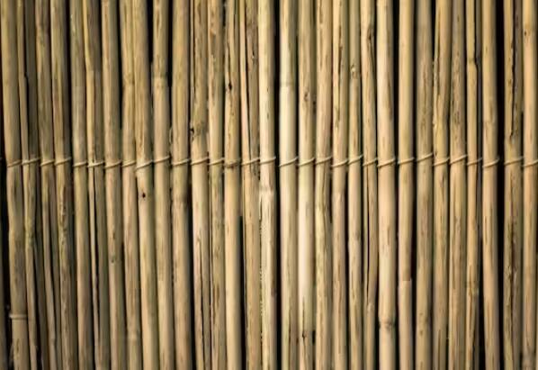 ਮਹਾਰਾਸ਼ਟਰ ਸਰਕਾਰ ਨੇ ਬਾਂਸ ਦੀ ਖੇਤੀ ਨੂੰ ਉਤਸ਼ਾਹਿਤ ਕਰਨ ਲਈ ਇੱਕ ਅਹਿਮ ਐਲਾਨ ਕੀਤਾ ਹੈ। ਮਹਾਰਾਸ਼ਟਰ ਨੇ ਬਾਂਸ ਦੀ ਖੇਤੀ ਕਰਨ ਵਾਲੇ ਕਿਸਾਨਾਂ ਨੂੰ ਸਬਸਿਡੀ ਦੇਣ ਦਾ ਫੈਸਲਾ ਕੀਤਾ ਹੈ। ਸੂਬਾ ਸਰਕਾਰ ਬਾਂਸ ਦੀ ਕਾਸ਼ਤ 'ਤੇ ਪ੍ਰਤੀ ਹੈਕਟੇਅਰ 7 ਲੱਖ ਰੁਪਏ ਦੀ ਪ੍ਰੋਤਸਾਹਨ ਦੇਵੇਗੀ। ਜਿਨ੍ਹਾਂ ਕਿਸਾਨਾਂ ਕੋਲ ਦੋ ਹੈਕਟੇਅਰ ਤੋਂ ਵੱਧ ਜ਼ਮੀਨ ਹੈ, ਉਨ੍ਹਾਂ ਨੂੰ ਫੰਡ ਦਿੱਤੇ ਜਾਣਗੇ। ਕਿਸਾਨਾਂ ਨੂੰ ਮਨਰੇਗਾ ਤਹਿਤ ਪੈਸੇ ਮਿਲਣਗੇ।