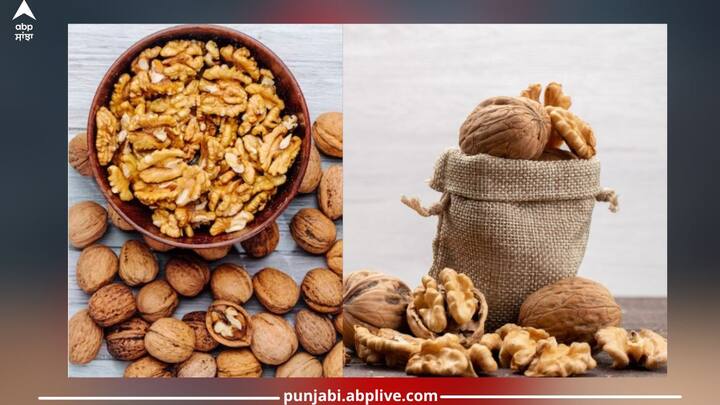 Walnuts: ਸਰਦੀਆਂ 'ਚ ਖੁਦ ਨੂੰ ਗਰਮ ਰੱਖਣਾ ਅਤੇ ਮੌਸਮੀ ਬਿਮਾਰੀਆਂ ਤੋਂ ਬਚਾਉਣਾ ਕਾਫੀ ਅਹਿਮ ਹੋ ਜਾਂਦਾ ਹੈ। ਜਿਸ ਕਰਕੇ ਸੁੱਕੇ ਮੇਵੇ ਖਾਣਾ ਸਾਡੀ ਸਿਹਤ ਲਈ ਲਾਭਕਾਰੀ ਹੁੰਦੇ ਹਨ। ਬਦਾਮ, ਕਾਜੂ, ਅਖਰੋਟ ਵਰਗੇ ਸੁੱਕੇ ਮੇਵੇ ਫਾਇਦੇਮੰਦ ਹੁੰਦੇ ਹਨ।