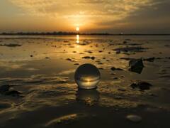 मोती की खेती कैसे होती, जानिए इससे जुड़ी सारी जानकारी