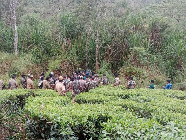 கூடலூரில் மக்களை அச்சுறுத்தி வந்த சிறுத்தை பிடிபட்டது ; மயக்க ஊசி செலுத்தி பிடித்த வனத்துறை!