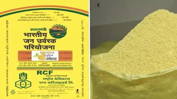 Agriculture News Urea Gold launch has been approved by the government, the price is low and the benefits are great Urea Gold: યુરિયા ગોલ્ડ લોન્ચને સરકારે આપી મંજૂરી, કિંમત છે ઓછી ને ફાયદા છે શાનદાર