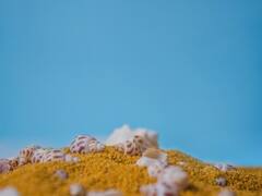 मोती की खेती कैसे होती, जानिए इससे जुड़ी सारी जानकारी