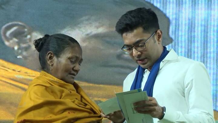 বলেন, 'ডায়মন্ড হারবার আমার কাছে প্রাধান্য পাবে। তবে দল যে দায়িত্ব দেবে, তাই পালন করব।'