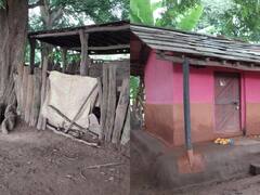 छत्तीसगढ़ के वनवासियों का देसी जुगाड़! इस तकनीक से बनाते हैं अपने घरों के बाउंड्रीवॉल, जानिए खासियत