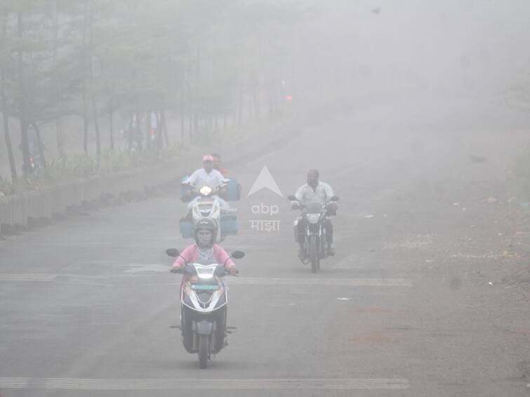 Weather Update Today IMD Weather Forecast Prolonged cold wave in Northern India Cold wave fog continues in Madhya Pradesh marathi news Weather Update : अवकाळी पाऊस आणि थंडीपासून दिलासा, राज्यासह देशात आजचं हवामान कसं असेल?