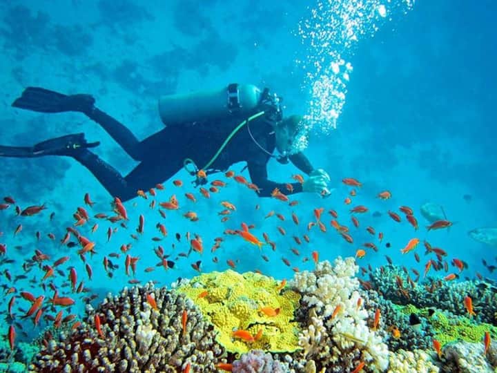 Amini Beach: The beach's popularity stems from its skilled artisans known for crafting exquisite walking sticks which are meticulously carved from materials like tortoise shells and coconut shells. After indulging in relaxation and enjoying the scenic views, it's highly recommended to acquire one of these spectacular walking sticks as a unique and memorable souvenir from your visit. (Image Source: Twitter/@Warlock_Shabby)