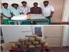 Crime: நெல்லை: 2 மூட்டைகளில் 25 கிலோ கஞ்சா: காரில் கடத்திய 5 பேர் கைது!