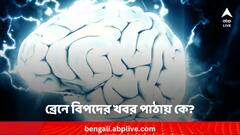 ব্রেনকে বিপদের খবর দেয় কে ? রোগ প্রতিরোধ ক্ষমতার কতটা ভূমিকা ?