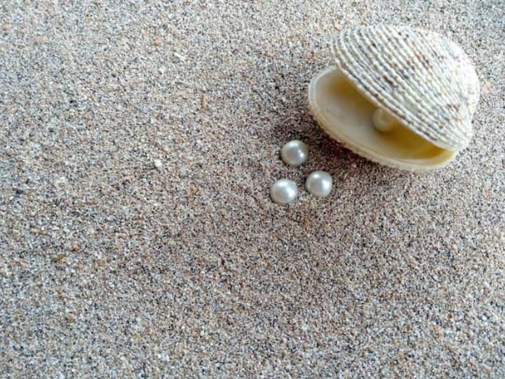 मोती एक प्राकृतिक रत्न है, जो शिप से पैदा होता है. बाहरी कणों के शिप के अंदर प्रवेश करने से मोती का निर्माण होता है.