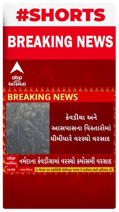 Narmada Unseasonal Rain | નર્મદામાં કમોસમી વરસાદ વરસ્યો