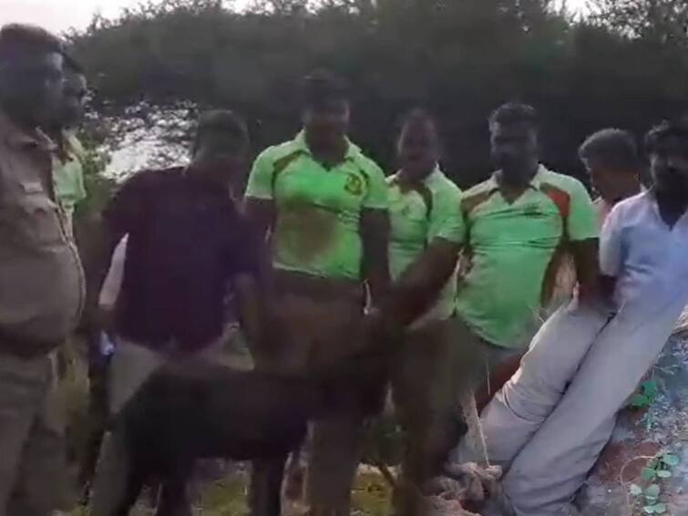 Fire personal risked his life to rescue a goat that had fallen into a borehole by going head down on Sathankulam ஆழ்துளை கிணற்றில் விழுந்த ஆடு; உயிரை பணயம் வைத்து மீட்ட  தீயணைப்பு வீரர்!