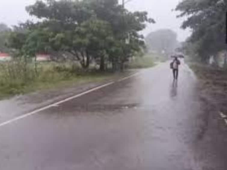Chance of very heavy rain in 3 districts in Tamil Nadu today  next 7 days status Rain Alert: தமிழ்நாட்டில் இன்று 3 மாவட்டங்களில் மிக கனமழைக்கு வாய்ப்பு.. அடுத்த 7 நாள் நிலவரம் இதோ..