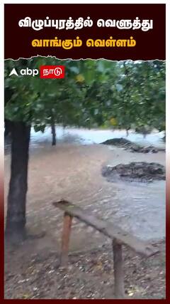 Vilupuram News : விழுப்புரத்தில் வெளுத்து வாங்கும் வெள்ளம் | Heavy Rainfall