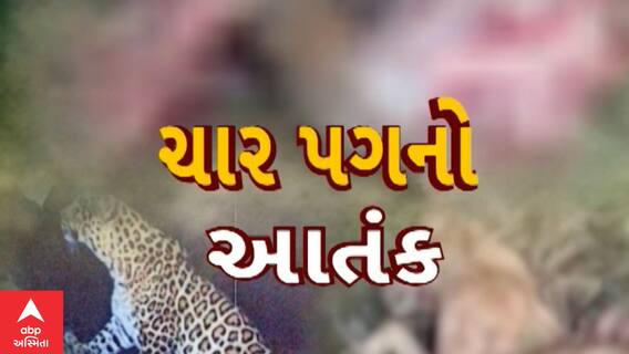 Mahisagar News : મહીસાગરના સંતરામપુરના ચિતવા ગામમાં દીપડાનો આતંક આવ્યો સામે