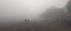 Nashik Nandgaon Fog : नांदगाववर दाट धुक्याची चादर, अवकाळीनंतर धुक्याने बळीराजा हवालदिल; पाहा Photos