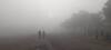 Nashik Nandgaon Fog : नांदगाववर दाट धुक्याची चादर, अवकाळीनंतर धुक्याने बळीराजा हवालदिल; पाहा Photos