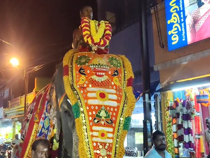 மயூரநாதர் கோயிலுக்கு வந்து 51 ஆண்டுகள் ஆகிய அபயாம்பிகை யானை -  கொண்டாட்டத்தில் கோயில் நிர்வாகம்