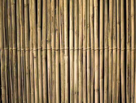 મહારાષ્ટ્ર સરકારે વાંસની ખેતીને પ્રોત્સાહન આપવા માટે મહત્વની જાહેરાત કરી છે. મહારાષ્ટ્રે વાંસની ખેતી કરતા ખેડૂતોને સબસિડી આપવાનો નિર્ણય કર્યો છે. રાજ્ય સરકાર વાંસની ખેતી પર પ્રતિ હેક્ટર 7 લાખ રૂપિયાનું પ્રોત્સાહન આપશે. બે હેક્ટરથી વધુ જમીન ધરાવતા ખેડૂતોને ફંડ મળશે. ખેડૂતોને મનરેગા હેઠળ પૈસા મળશે.