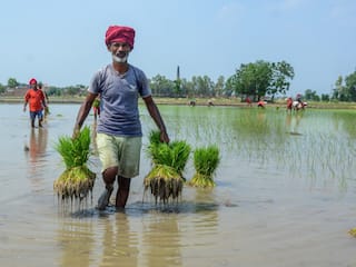 PM Kisan Samman Nidhi: ਪ੍ਰਧਾਨ ਮੰਤਰੀ ਕਿਸਾਨ ਸਨਮਾਨ ਨਿਧੀ ਦਾ ਲਾਭ ਲੈਣ ਲਈ ਇਦਾਂ ਕਰਨ ਰਜਿਸਟਰ