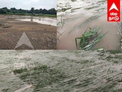 TN Rain: மரக்காணத்தில் கனமழை: 3500 ஏக்கர் பரப்பளவிலான நெற்பயிர்கள் சேதம் - அரசுக்கு விவசாயிகள் கோரிக்கை