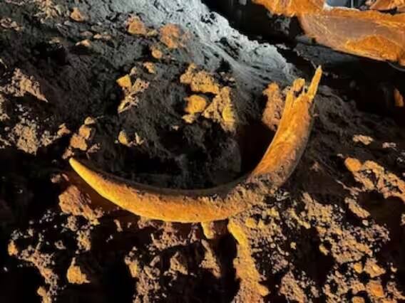 વૈજ્ઞાનિકોએ મેમથ હાથીના ટસ્કને પ્લાસ્ટિકમાં લપેટીને વધુ તપાસ માટે સુરક્ષિત રીતે રાખ્યો હતો. જોકે, એવી અટકળો પણ છે કે કોલસાની ખાણમાં કામ કરનારને તેના દાંતના બદલામાં સારી એવી રકમ મળી શકે છે.