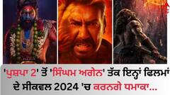 2024 Sequel Upcoming Films: 'ਪੁਸ਼ਪਾ 2' ਤੋਂ 'ਸਿੰਘਮ ਅਗੇਨ' ਤੱਕ, ਬਾਲੀਵੁੱਡ ਤੋਂ ਸਾਉਥ ਦੇ ਇਨ੍ਹਾਂ ਫਿਲਮਾਂ ਦੇ ਸੀਕਵਲ 2024 'ਚ ਕਰਨਗੇ ਧਮਾਕਾ