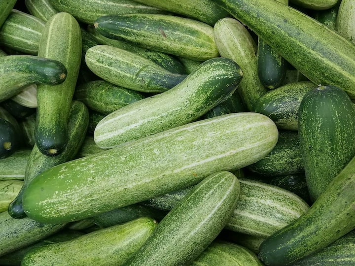 Right time to eat Cucumber : काकडीचे अनेक आरोग्य फायदे असू शकतात, परंतु चुकीच्या वेळी याचे सेवन केल्यास शरीराला अनेक समस्या निर्माण होतात. काकडी खाण्याची योग्य वेळ कोणती? जाणून घेऊया.