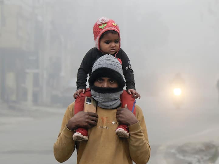 North India Cold Winter Wave Fog Delhi UP Punjab Rajasthan Haryana IMD Weather Update Trains Delayed In Delhi Due To Dense Fog As Cold Wave Prevails In North India