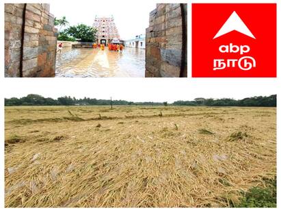 mayiladuthurai district heavy rain crops affected மழையால் ஸ்தம்பிக்கும் மயிலாடுதுறை: வைத்தீஸ்வரன் கோயிலுக்குள் புகுந்த தண்ணீர்! பக்தர்கள் அவதி!