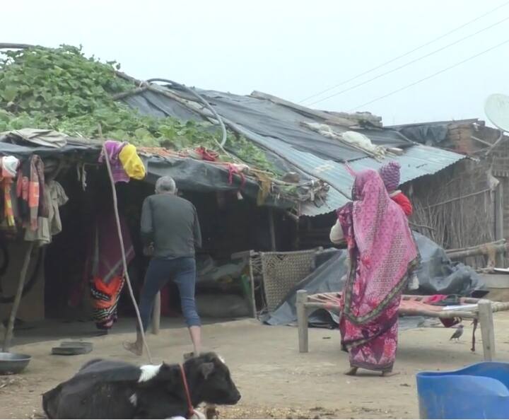 Kanpur Dehat Farmer committed suicide by consuming Poision due to electricity bill ANN UP News: कानपुर में बिजली बिल ने ली किसान की जान, बेटे ने अधिकारियों पर लगाया प्रताड़ना का आरोप