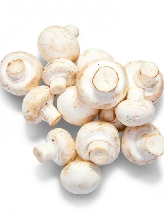 मशरूम किन लोगों को नहीं खाना चाहिए