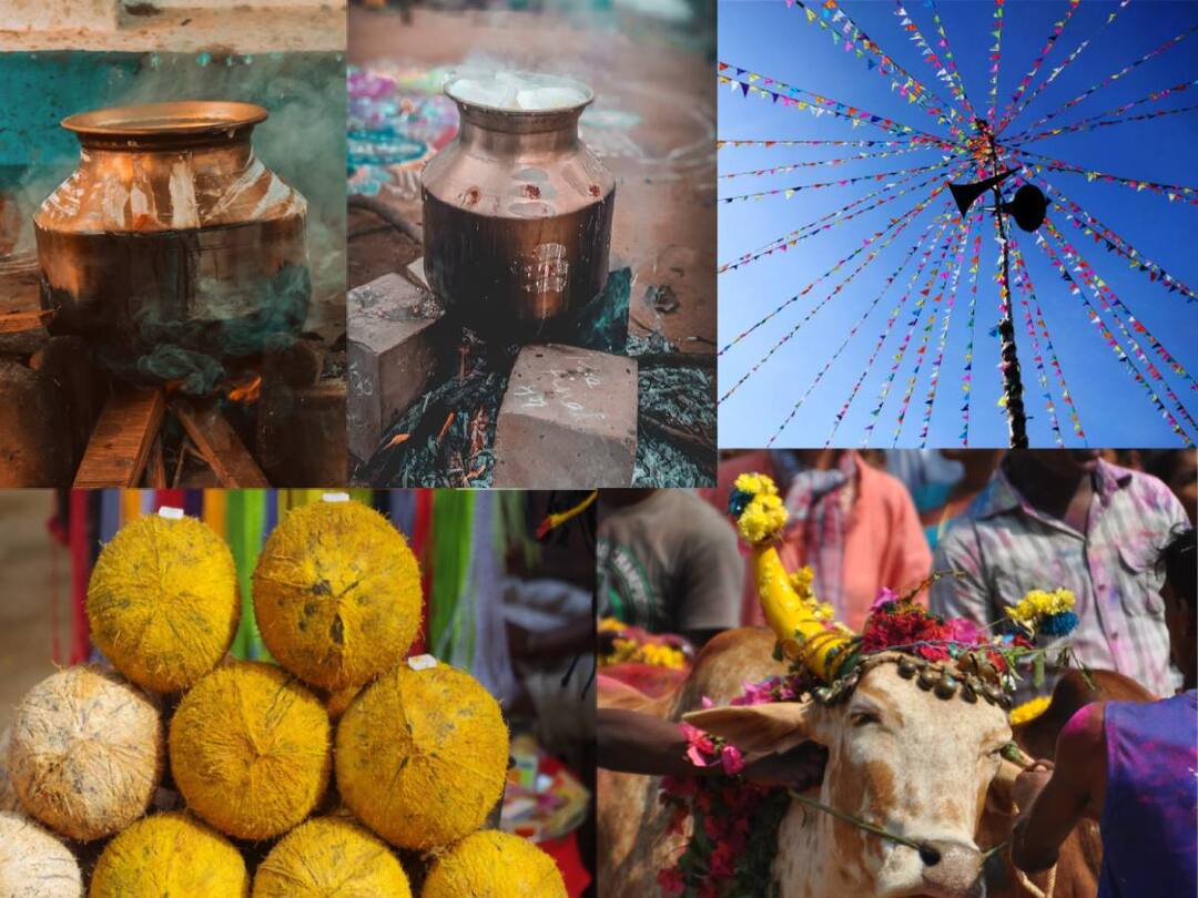 Pongal 2024 Pooja: தைப் பொங்கல்: பூஜை செய்வது எப்படி? தேவையான பொருட்கள் என்னென்ன? - விவரம்