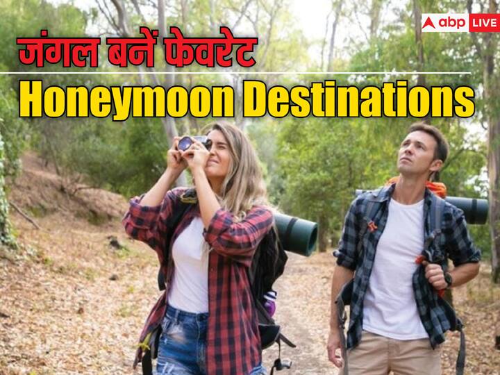 travel tips jungle safari become best honeymoon destinations for couples कपल्स को पसंद आ रही जंगलों की सैर, हनीमून के लिए पसंद कर रहे ये डेस्टिनेशंस