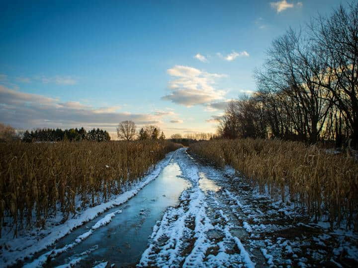 ​Will crop insurance pay for extreme cold damaged crops know details ​अगर ज्यादा सर्दी से फसल हो जाए खराब तो क्या फसल बीमा से मिल जाएंगे पैसे?