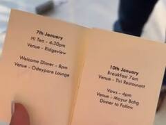 IN Pics: ईरा-नुपुर वेडिंग की शाही धूम, दिन में मेहंदी और रात में पायजामा पार्टी,  देखें तस्वीरें