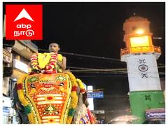 மயூரநாதர் கோயிலுக்கு வந்து 51 ஆண்டுகள் ஆகிய அபயாம்பிகை யானை -  கொண்டாட்டத்தில் கோயில் நிர்வாகம்