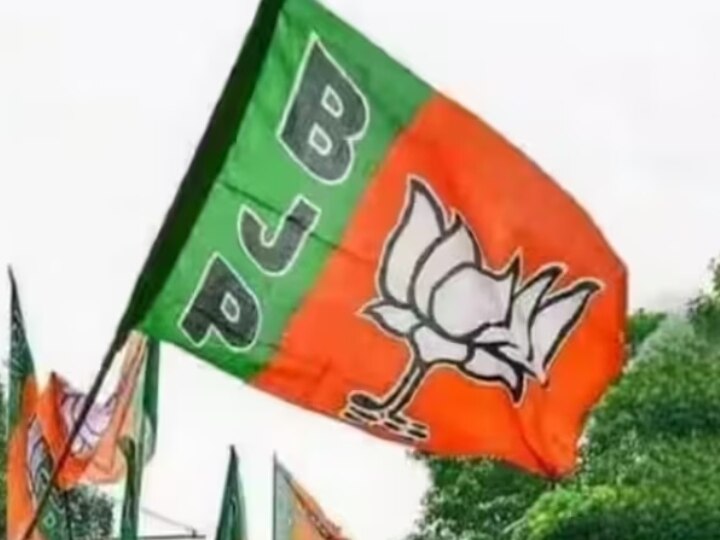 Lok Sabha Election 2024 BJP Preparations For Lok Sabha Elections ...