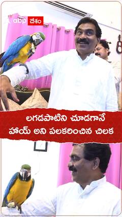 లగడపాటిని గుర్తుపట్టిన చిలుక..! ఆ తరువాత ఏం జరిగింది..?