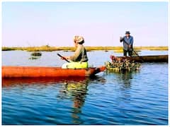Conservationists Call For Ban On Night Fishing With LED Lights In Manipur’s Loktak Lake