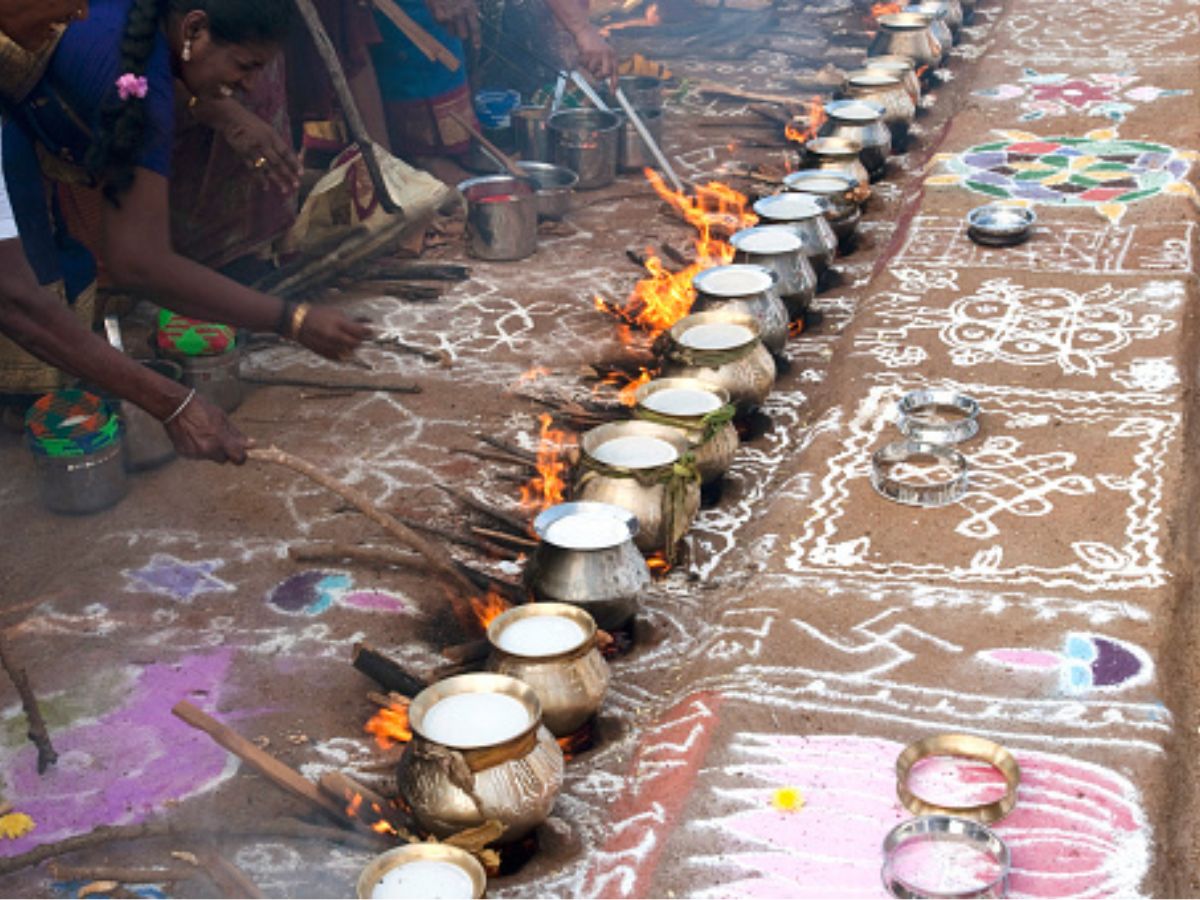 Sri Lanka S Trincomalee Witnesses Huge Pongal Celebration Ahead Of   E3b2b2e267dc046cdb07962b4166fa4d1704718145739556 Original 