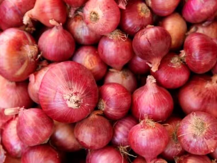Onion Export Ban Farmers lose thousand crore Marriage ceremonies also stopped lasalgaon nashik maaharashtra marathi news Onion Export Ban : कांदा निर्यातबंदीमुळे शेतकऱ्यांचे तब्बल हजार कोटीचे नुकसान, विवाह सोहळ्यांनाही बसला फटका