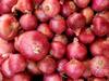Onion Export Ban : कांदा निर्यातबंदीमुळे शेतकऱ्यांचे तब्बल हजार कोटीचे नुकसान, विवाह सोहळ्यांनाही बसला फटका