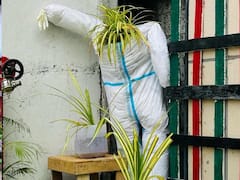 Nagpur News: ‘एम्स’ मध्ये कचऱ्याच्या पुनर्वापरातून बहरले सौंदर्य; कचऱ्यातून कलेचा दिला संदेश