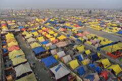 Makar Sankranti 2024: ৭৭ বছর পর মকর সংক্রান্তিতে বিশেষ যোগ, সূর্যের আলোর মতো চমকাবে ৪ রাশির ভাগ্য