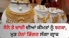 Gold Silver Price Today: ਸੋਨੇ ਤੇ ਚਾਂਦੀ ਦੀਆਂ ਕੀਮਤਾਂ ਨੂੰ ਝਟਕਾ, ਮੁੜ ਹੇਠਾਂ ਡਿੱਗਣ ਲੱਗਾ ਗ੍ਰਾਫ